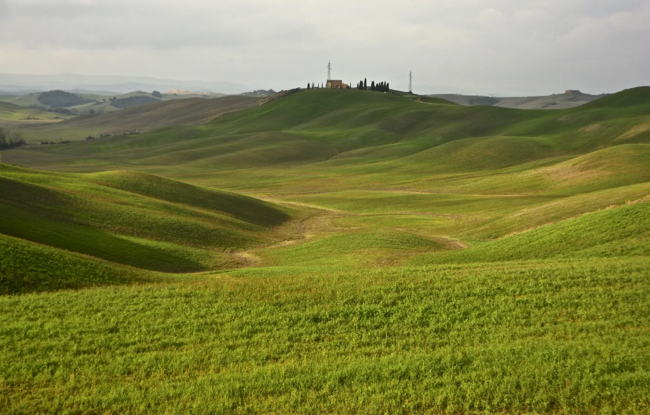 Photo wallpaper green, hills, Tuscany, Siena, Italy.