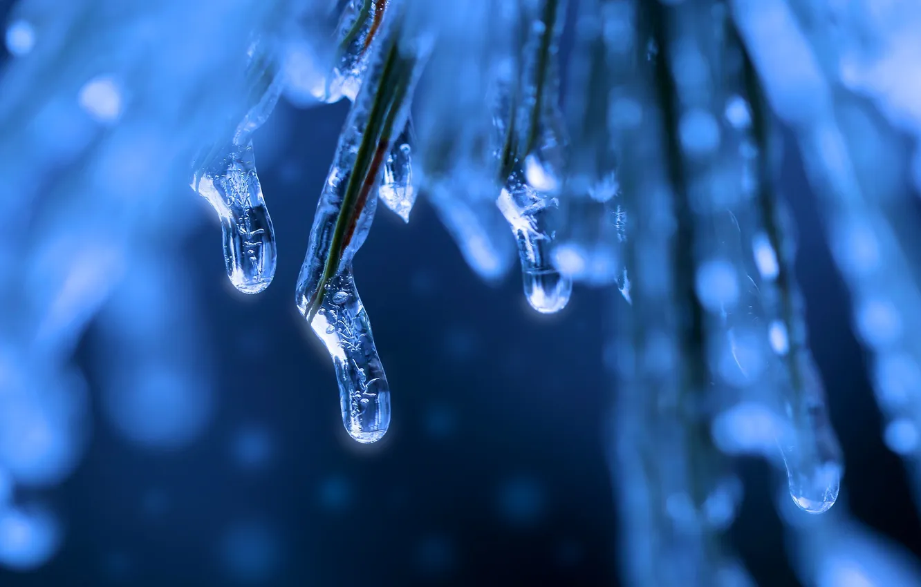 Photo wallpaper ice, needles, bokeh