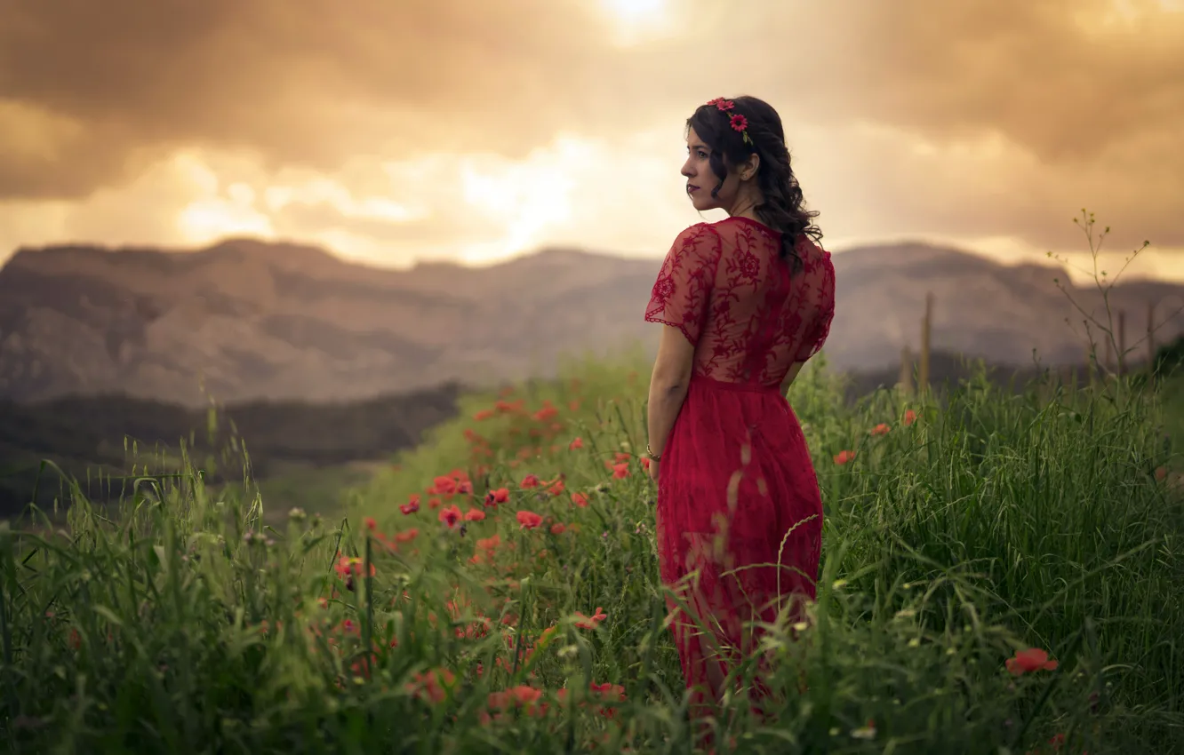Photo wallpaper girl, sunset, nature