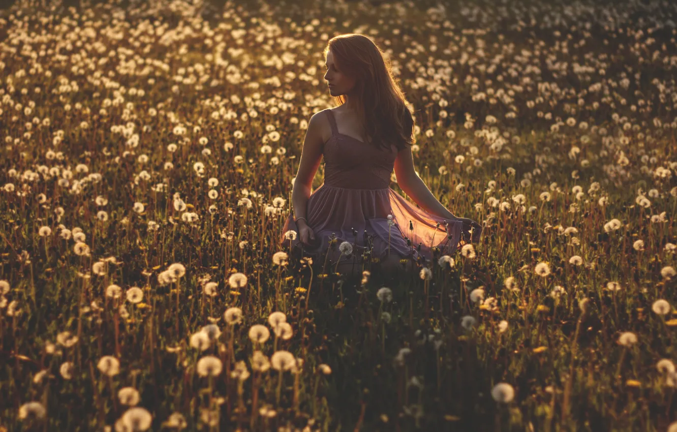Photo wallpaper field, girl, shadow, dress, girl, dress, field, shadow