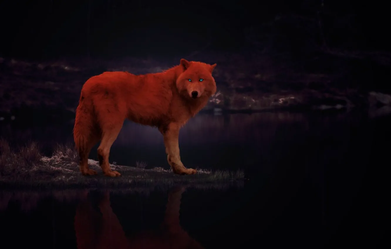 Photo wallpaper fantasy, animal, wolf, insomniah
