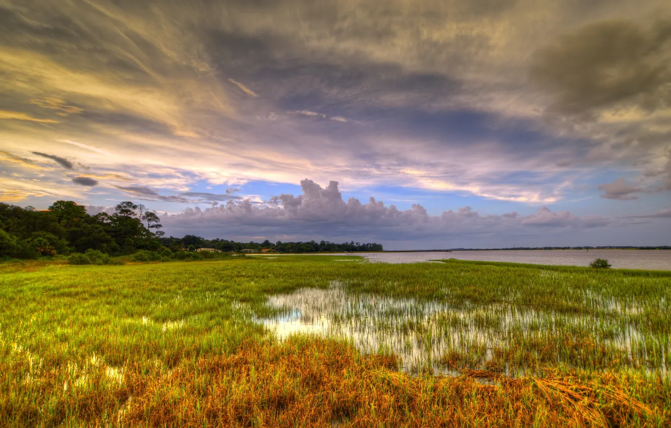 Photo wallpaper grass, clouds, trees, lake