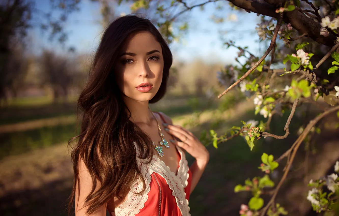 Photo wallpaper look, the sun, decoration, trees, branches, nature, model, portrait