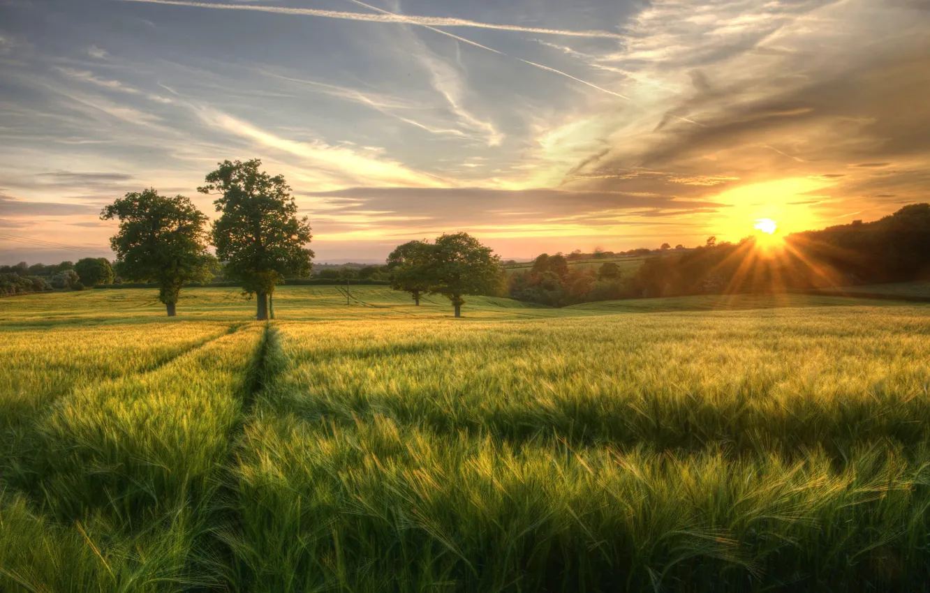 Photo wallpaper field, the sky, clouds, nature, sunrise, morning