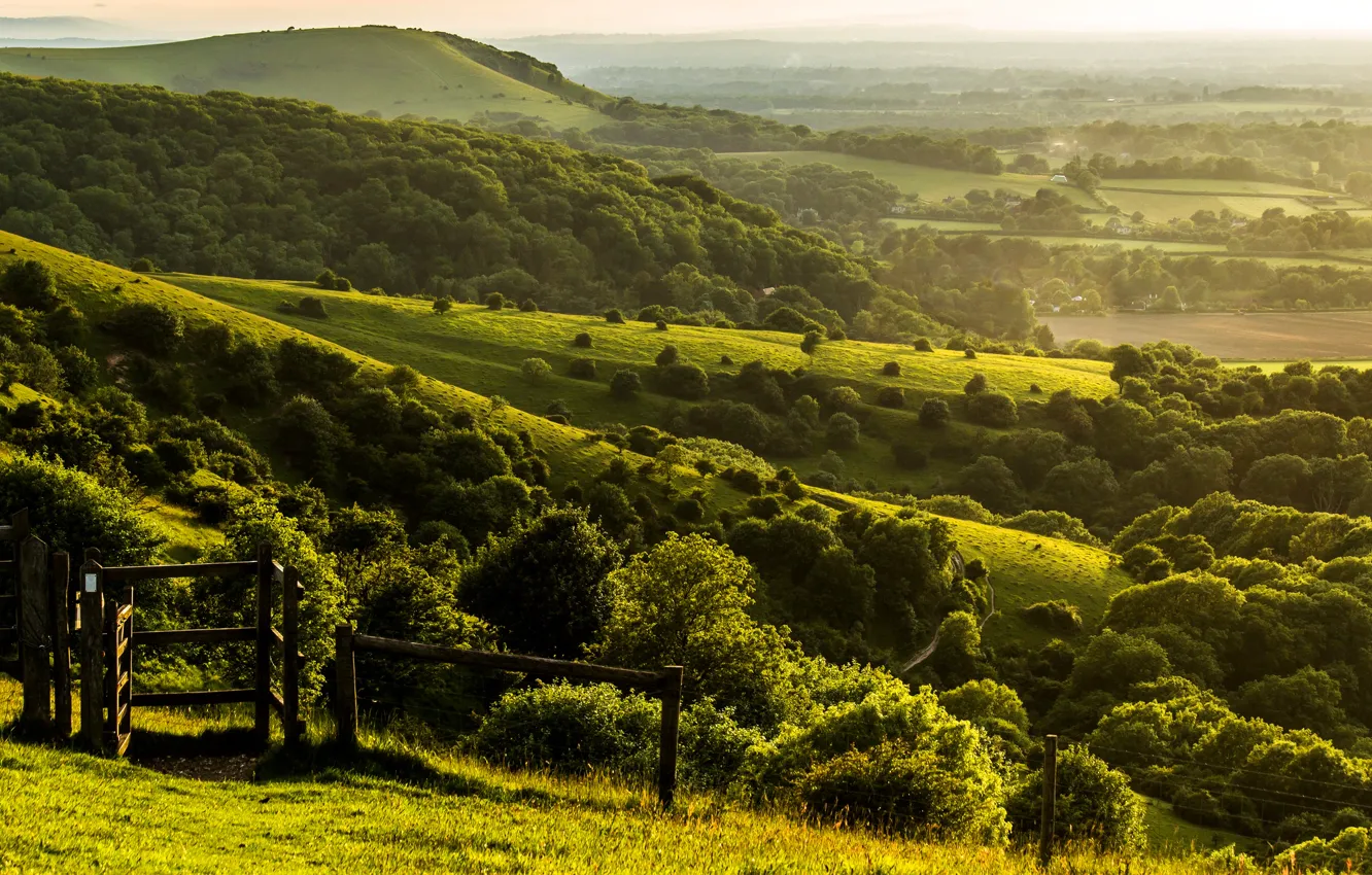 Photo wallpaper field, trees, landscape, nature, green, hills, the fence, England