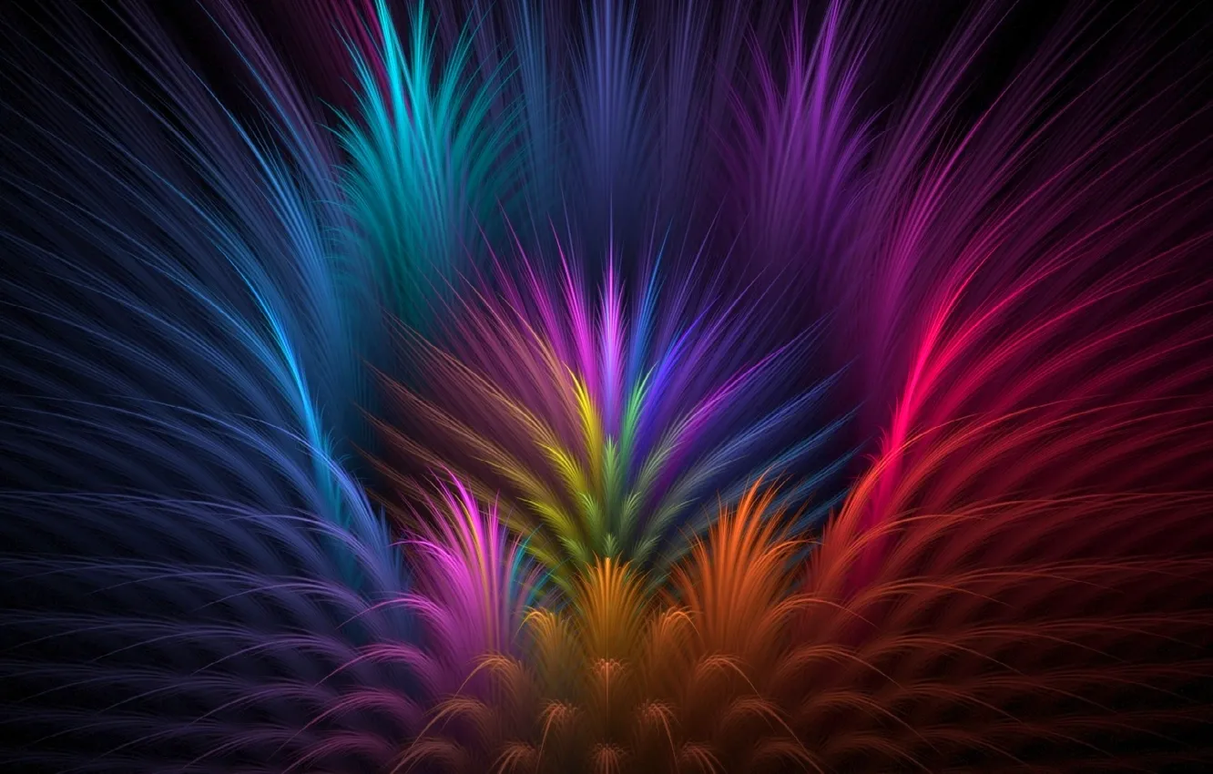 Photo wallpaper rays, light, line, flowers, color, feathers, petals, the volume