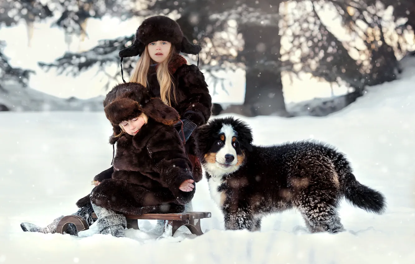 Photo wallpaper winter, snow, nature, children, animal, dog, boy, girl