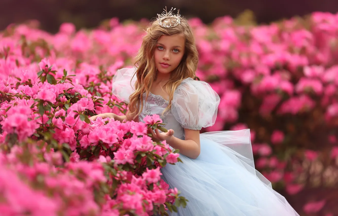 Photo wallpaper flowers, nature, crown, dress, girl, outfit, Princess, the bushes