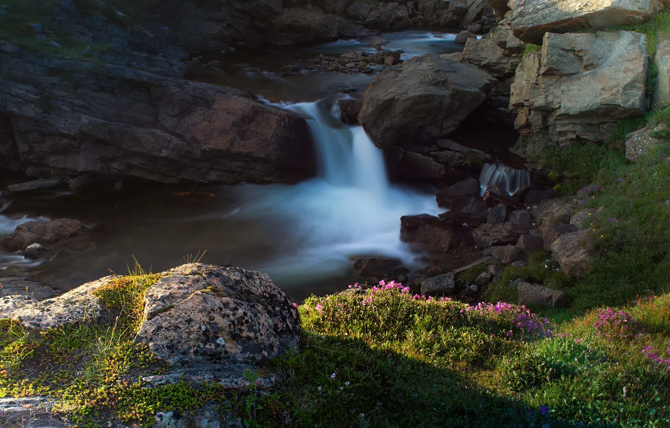 Photo wallpaper summer, grass, light, flowers, stones, rocks, shore, waterfall