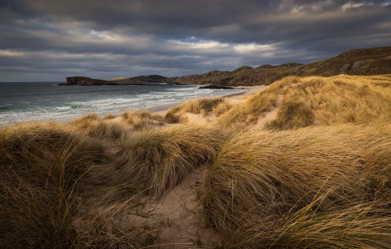 Photo wallpaper sea, beach, shore, dunes