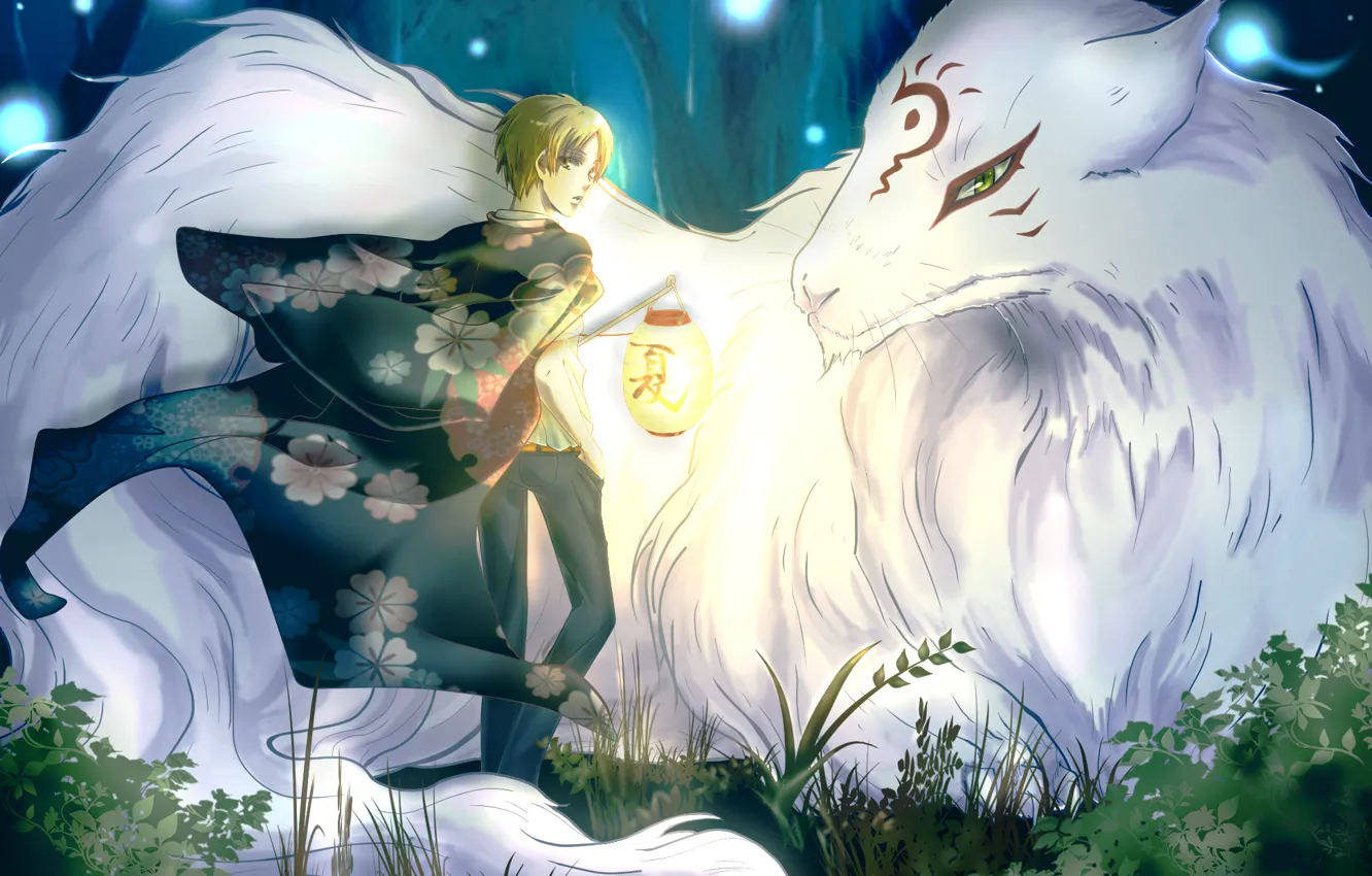 Photo wallpaper forest, trees, nature, anime, art, lantern, guy, madara