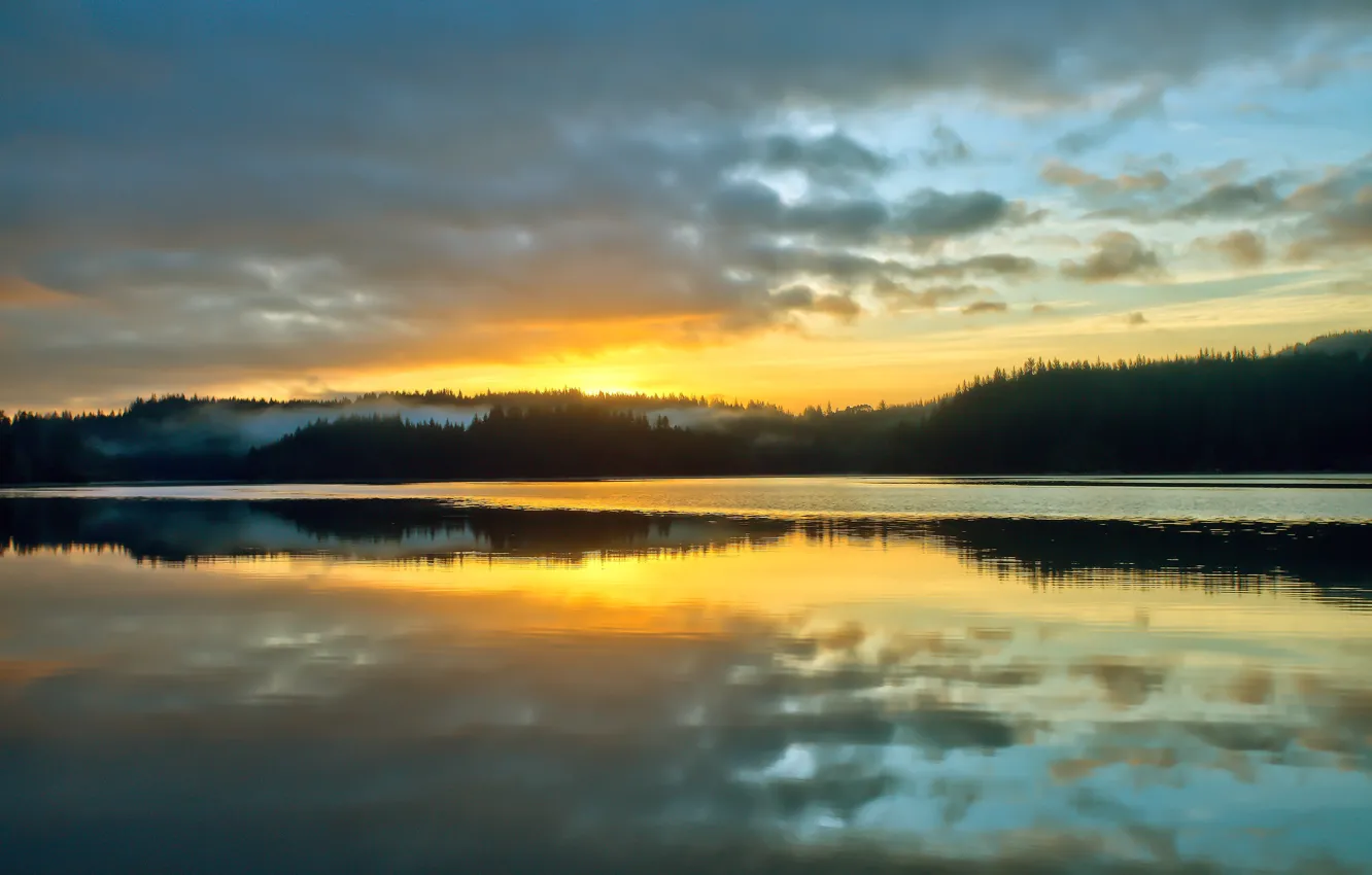 Photo wallpaper the sun, trees, river, sunrise, shore, morning, haze