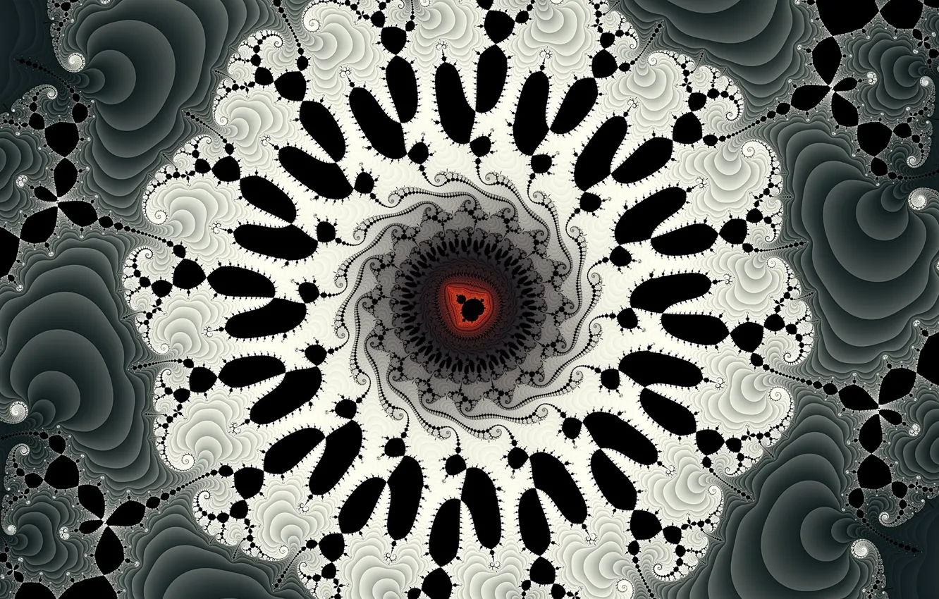 Photo wallpaper pattern, color, fractal, abstrakcja