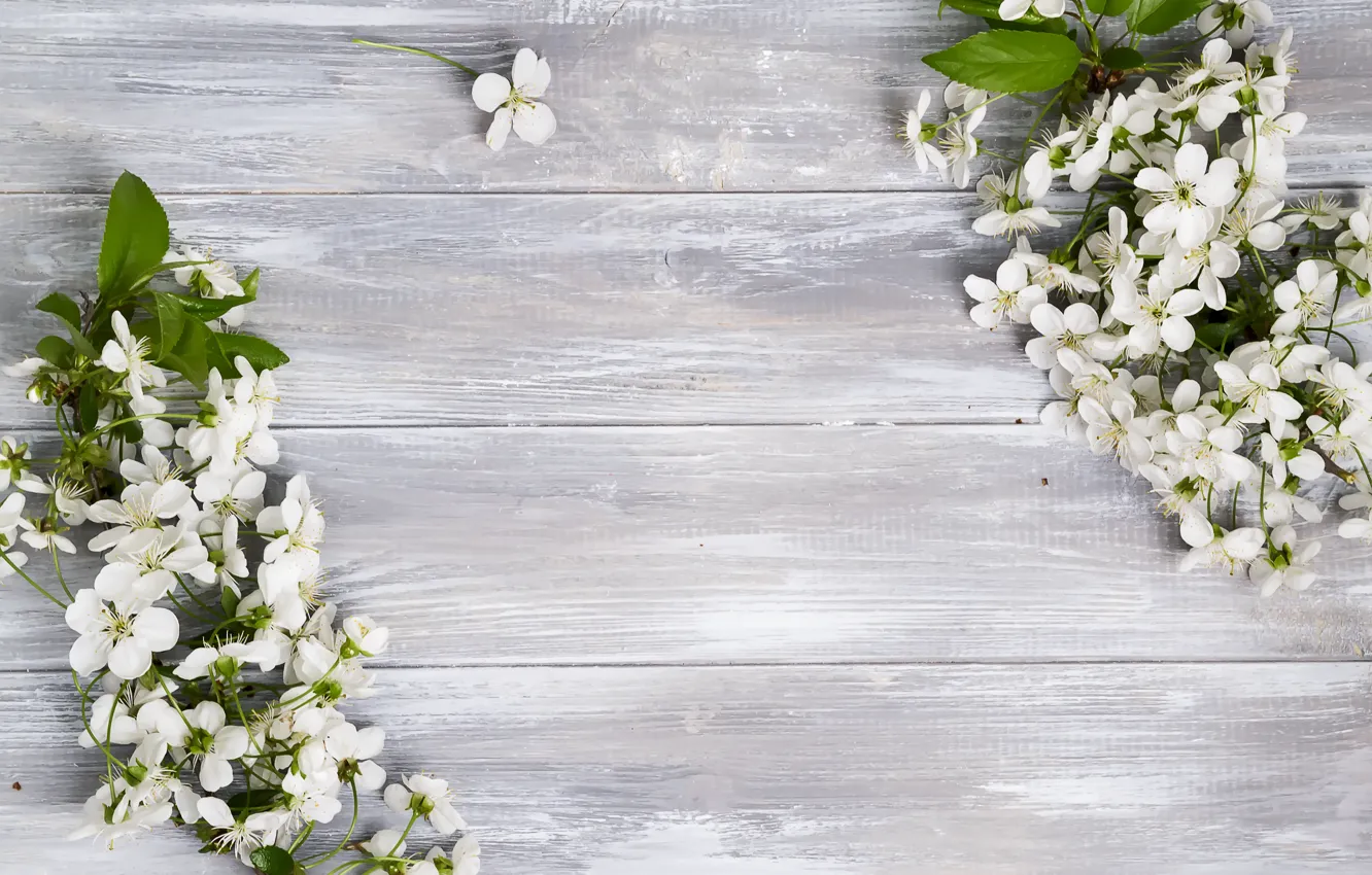 Photo wallpaper leaves, flowers, background, spring
