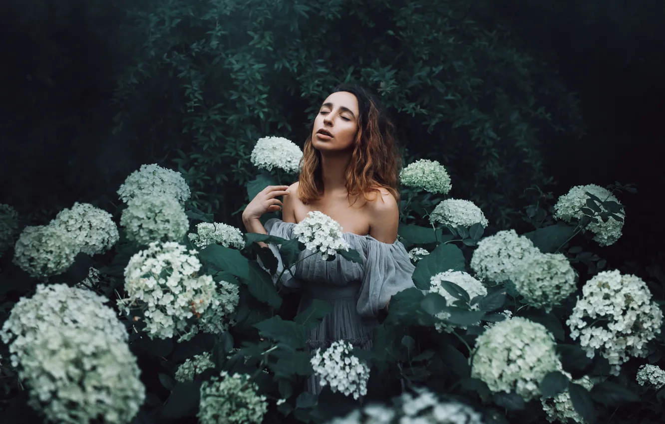 Photo wallpaper girl, flowers, mood, hydrangea, Amy Spanos