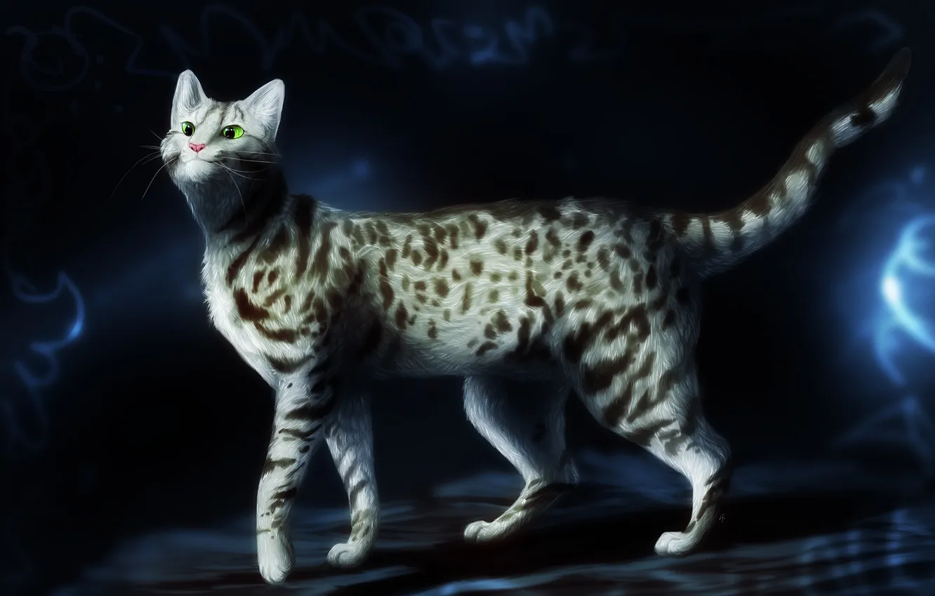Photo wallpaper cat, spot, the dark background, green eyes