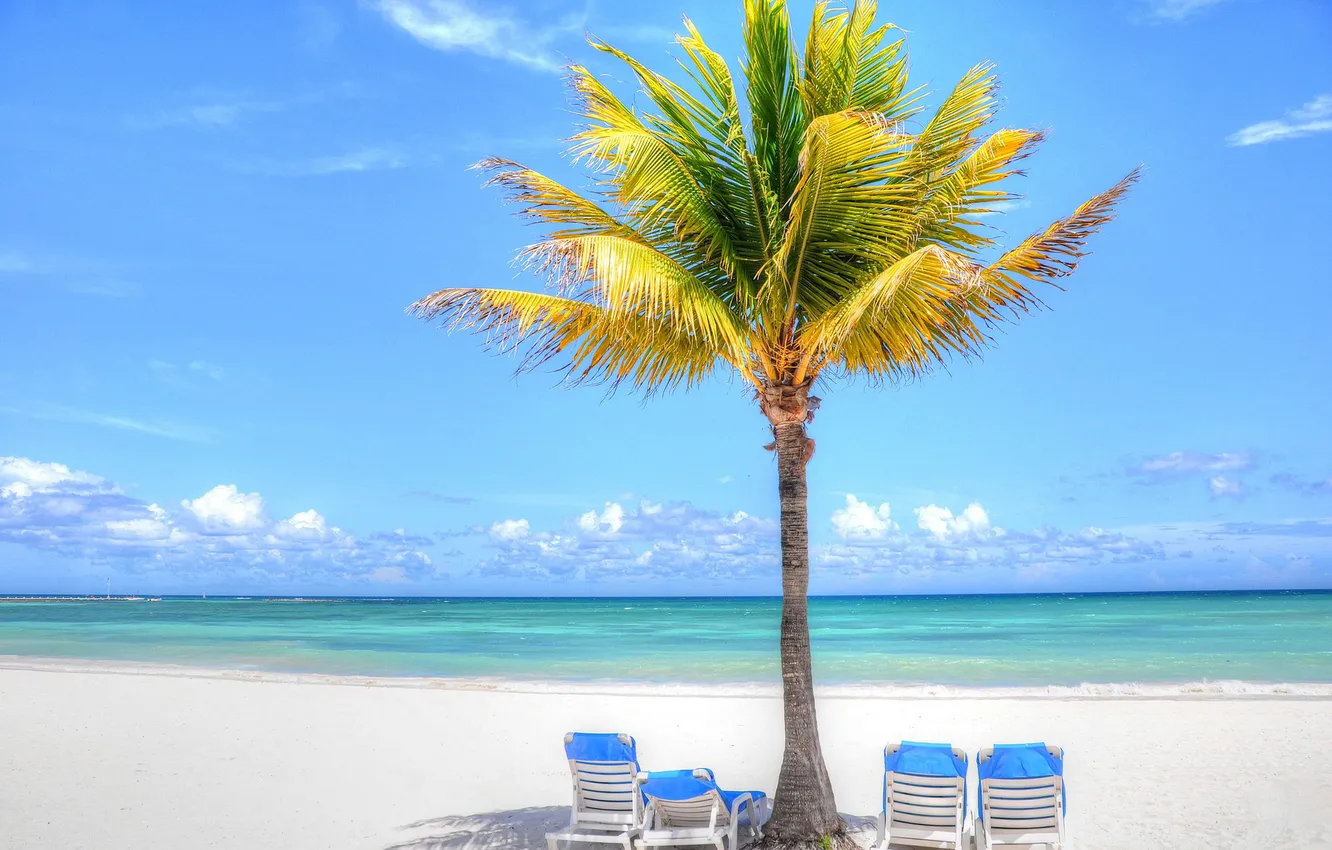 Photo wallpaper sand, sea, beach, the sky, clouds, tropics, palm trees, sun loungers