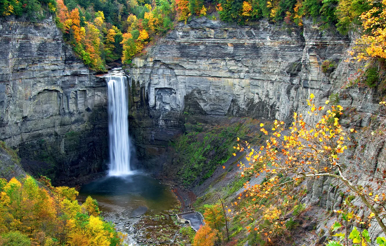 Photo wallpaper autumn, trees, rocks, waterfall, stream