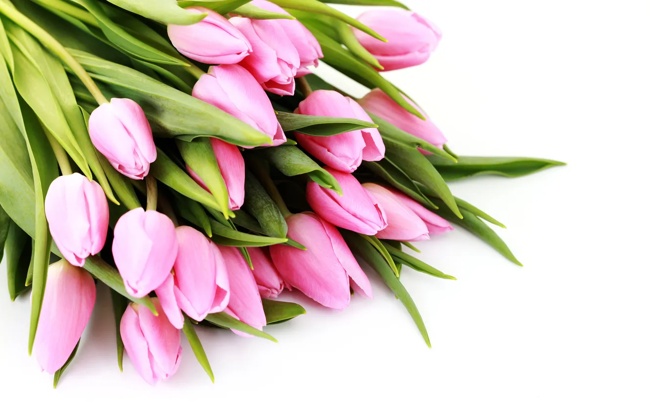 Photo wallpaper bouquet, tulips, pink