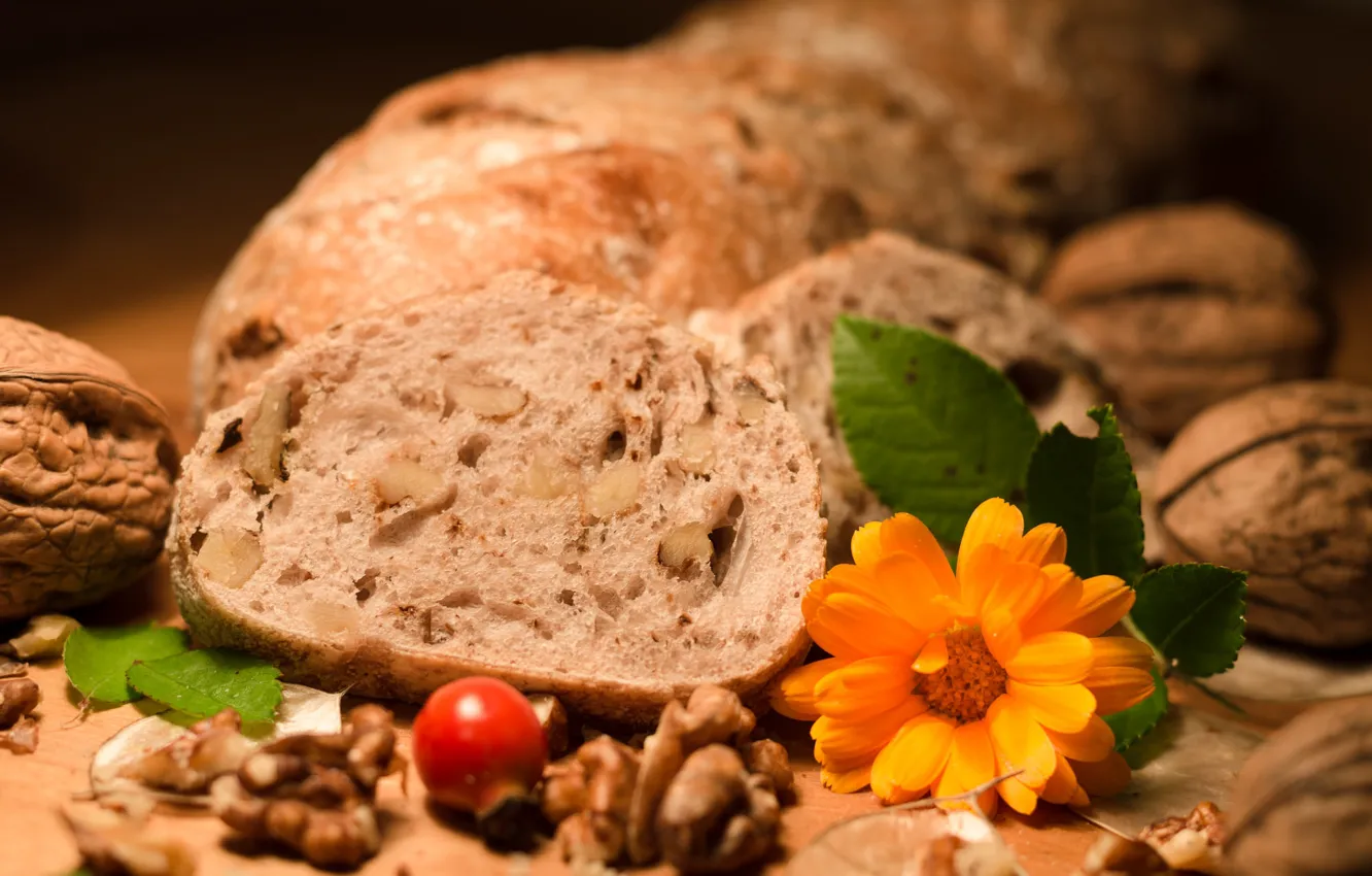Photo wallpaper briar, bread, nuts