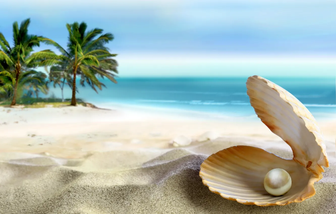 Photo wallpaper sand, sea, beach, the sun, tropics, the ocean, shell, summer