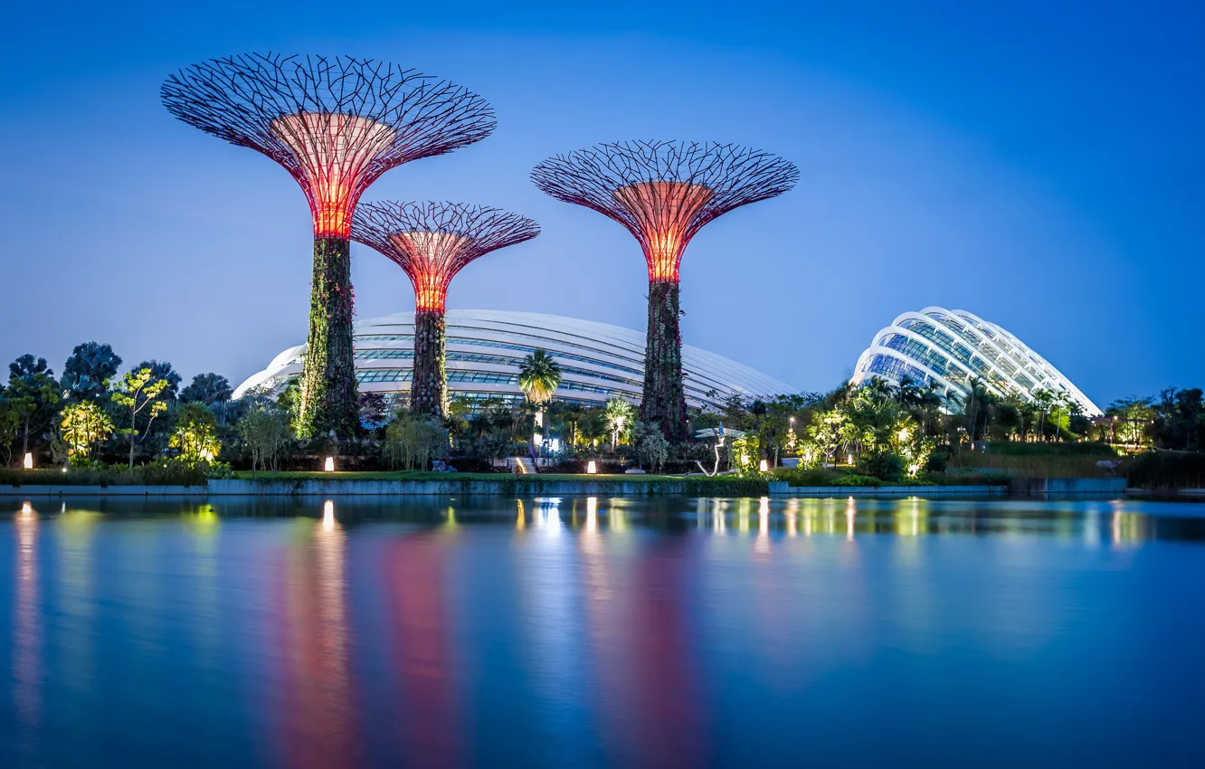 Photo wallpaper the sky, water, trees, design, lights, Park, the evening, Singapore