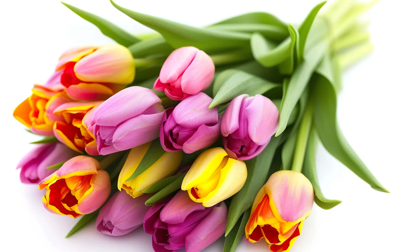 Photo wallpaper flowers, bouquet, colorful, tulips, flowers, tulips, spring, bouquet