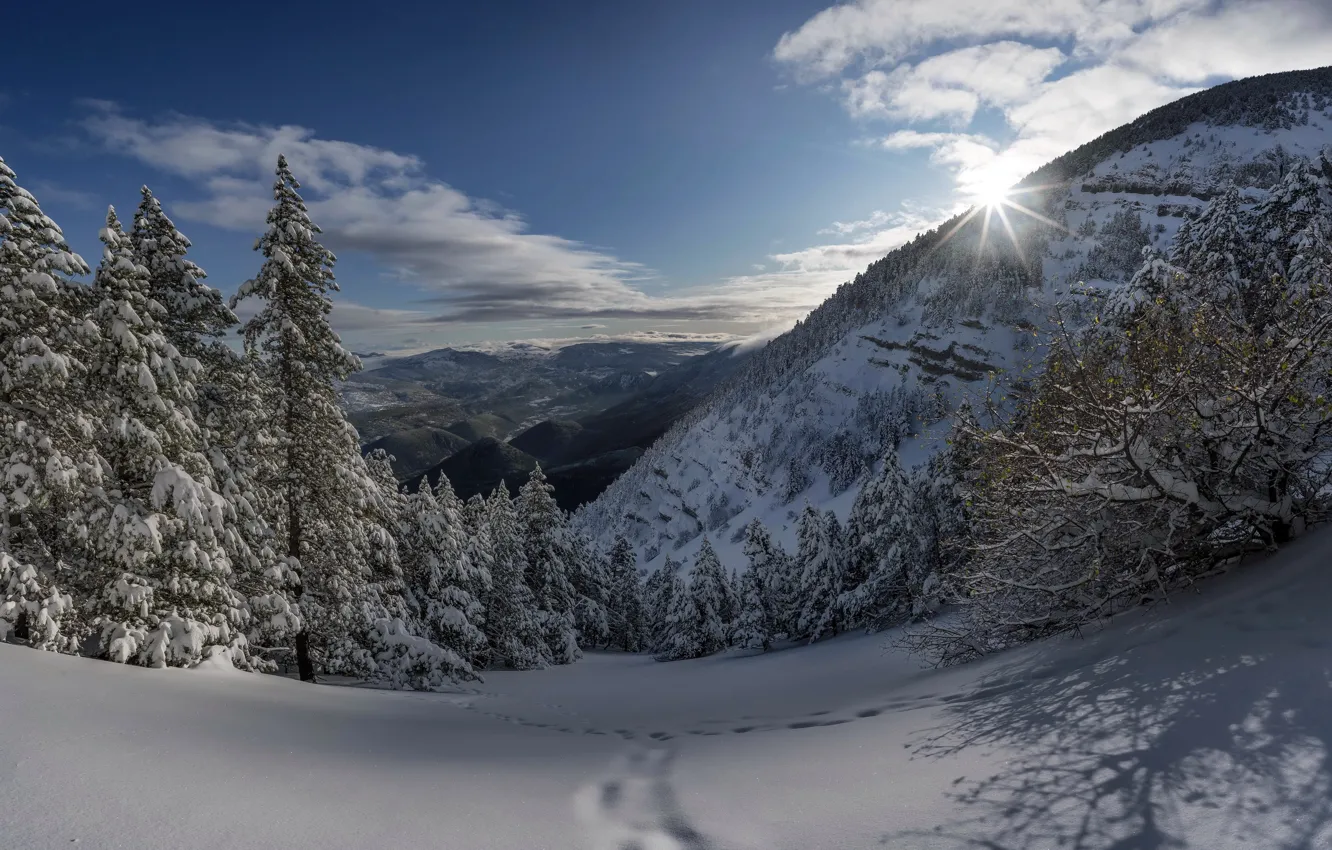 Photo wallpaper winter, snow, nature