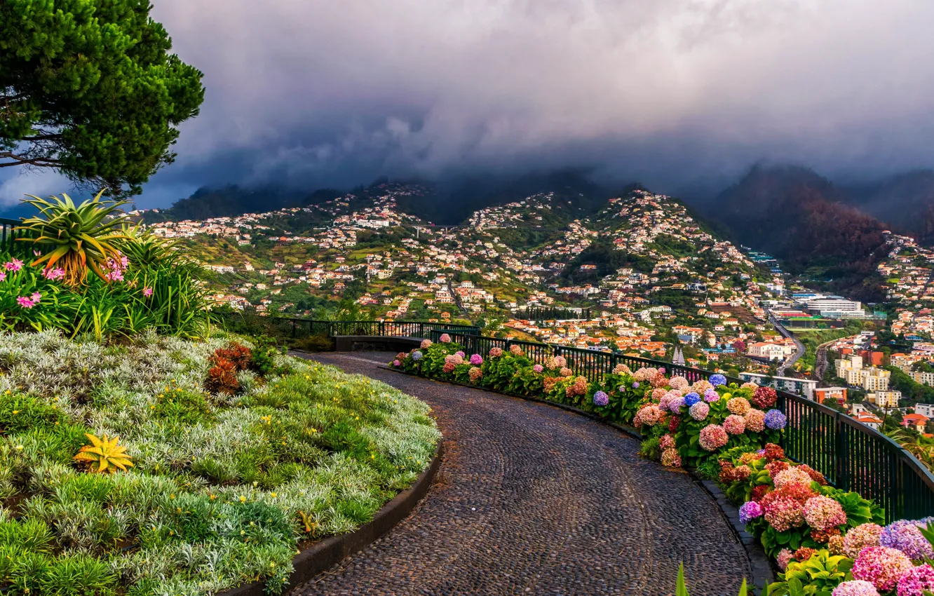 Photo wallpaper green, road, flowers, clouds, mountain, houses, Portugal, seashore