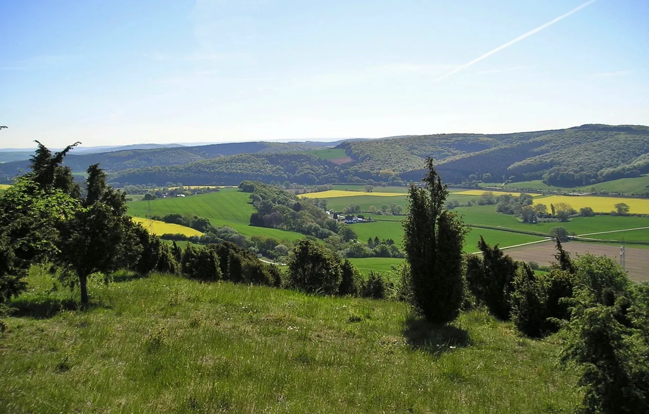 Photo wallpaper hills, spring, rape