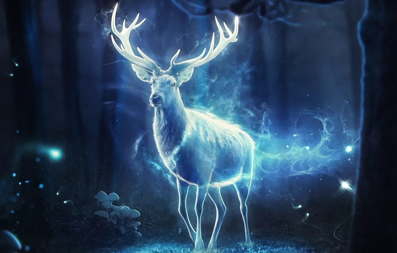 Photo wallpaper Night, Forest, Magic, Deer, Light, Fantasy, Horns, Art
