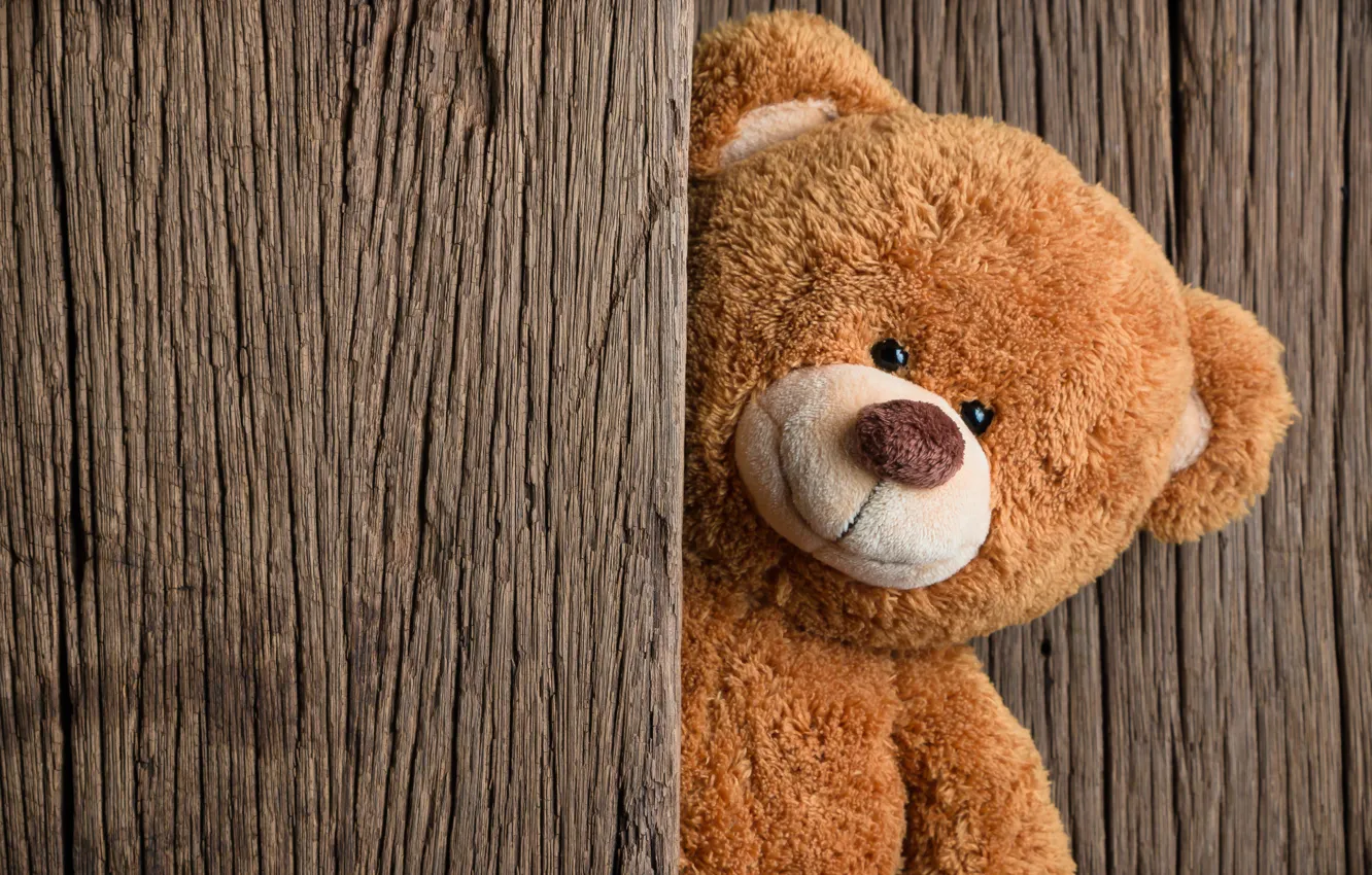 Photo wallpaper toy, bear, bear, wood, teddy bear, cute