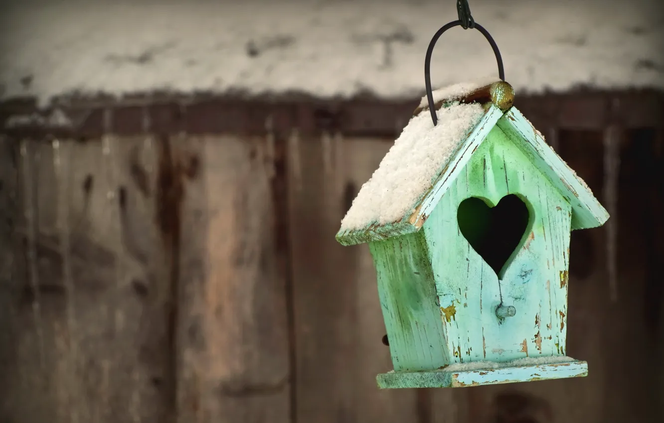 Photo wallpaper love, life, valentine's day