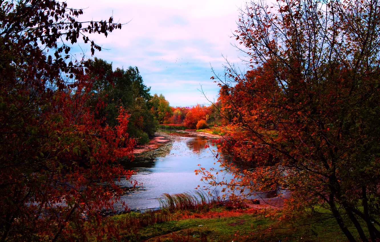 Photo wallpaper autumn, river, treatment, colors, river, Autumn, fall