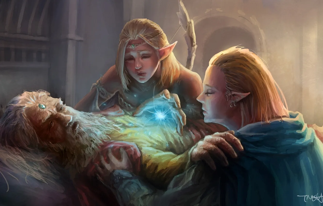 Photo wallpaper girl, magic, elf, art, the old man, guy, dying