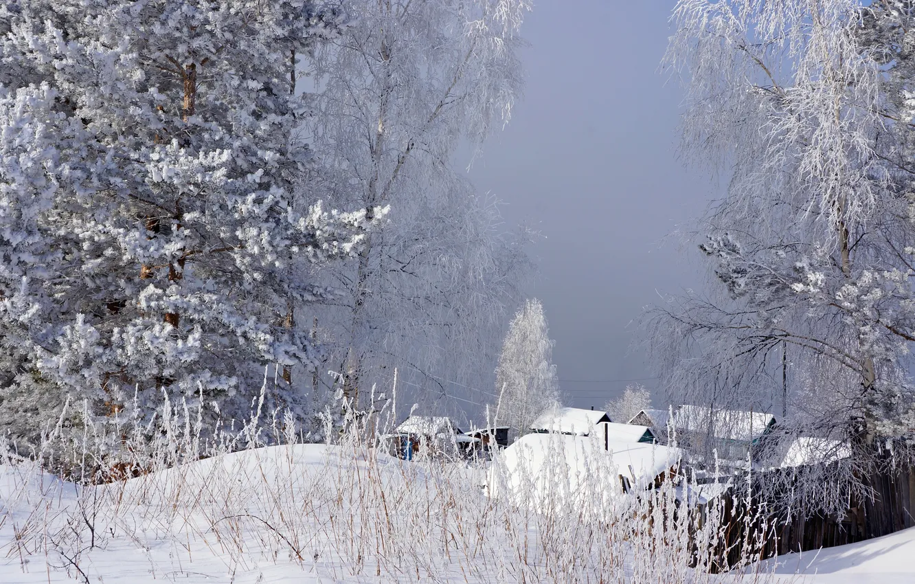 Photo wallpaper winter, frost, grass, snow, trees, fog, house