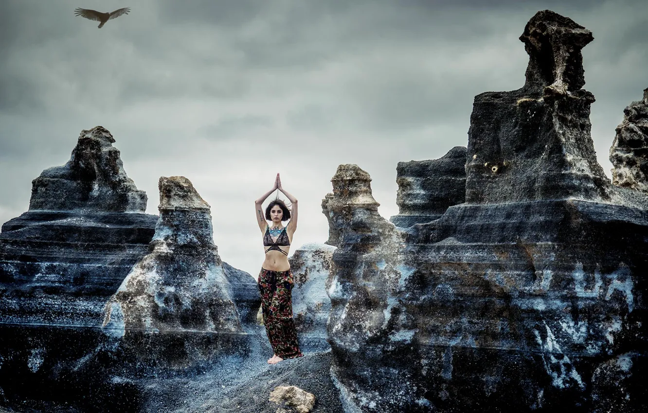 Photo wallpaper girl, rocks, bird, yoga