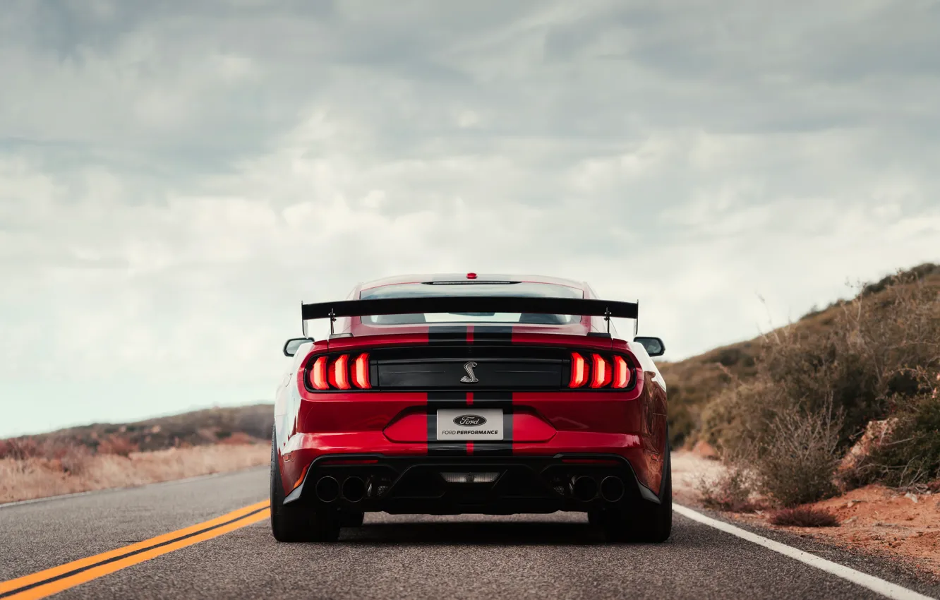 Photo wallpaper Mustang, Ford, Shelby, GT500, bloody, feed, 2019