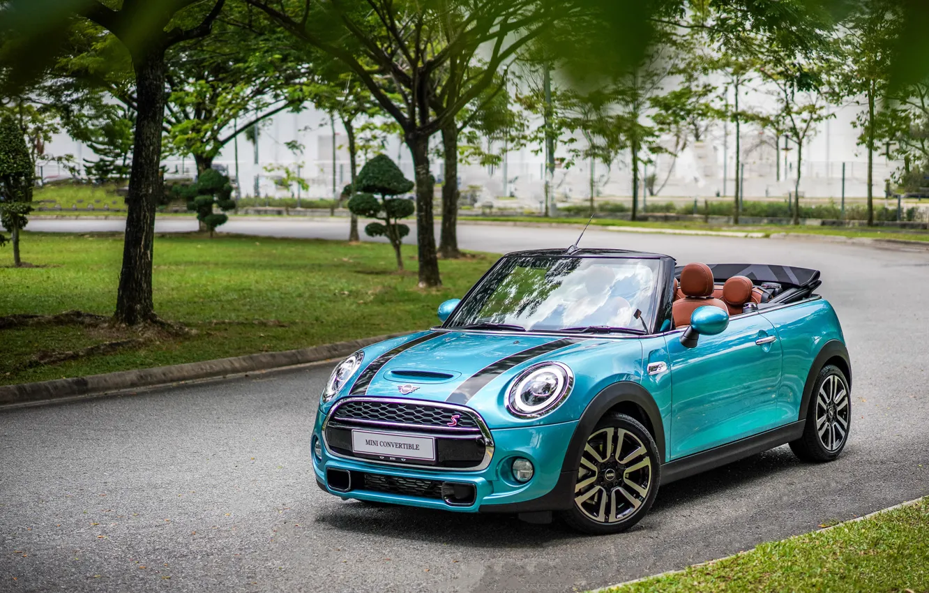 Photo wallpaper road, nature, Park, Mini, convertible, Cabrio, Cooper S