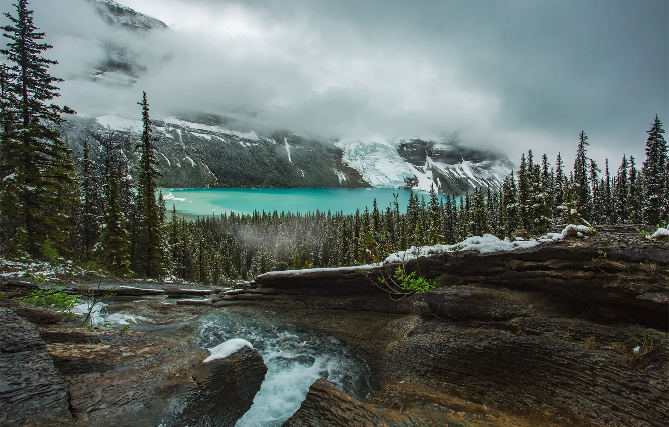 Photo wallpaper forest, mountains, lake, Canada, Mount Robson, Photographer Evgeny