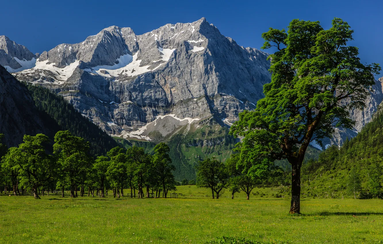 Photo wallpaper the sky, grass, trees, mountains, valley