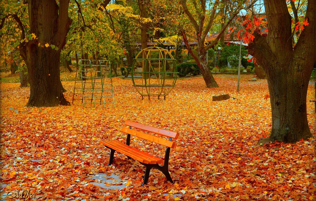 Photo wallpaper Autumn, Bench, Park, Fall, Foliage, Park, Autumn, Colors