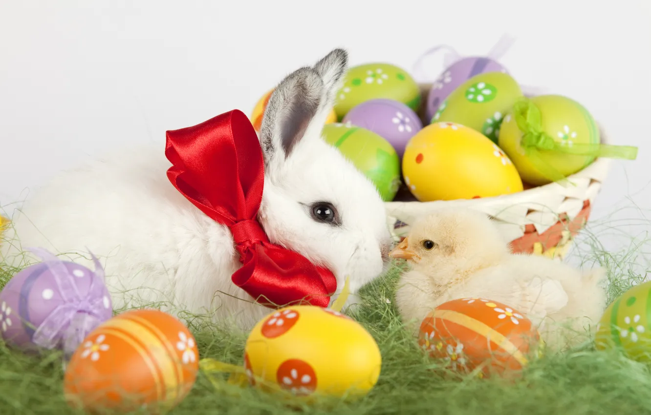 Photo wallpaper holiday, basket, rabbit, Easter, weed, chicken, painted eggs