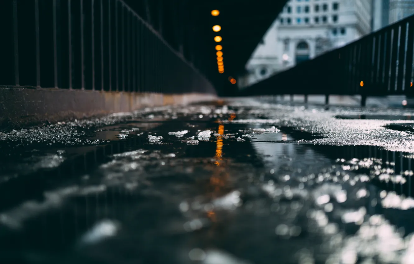 Photo wallpaper winter, wet, macro, snow, USA, bokeh, the city of Chicago