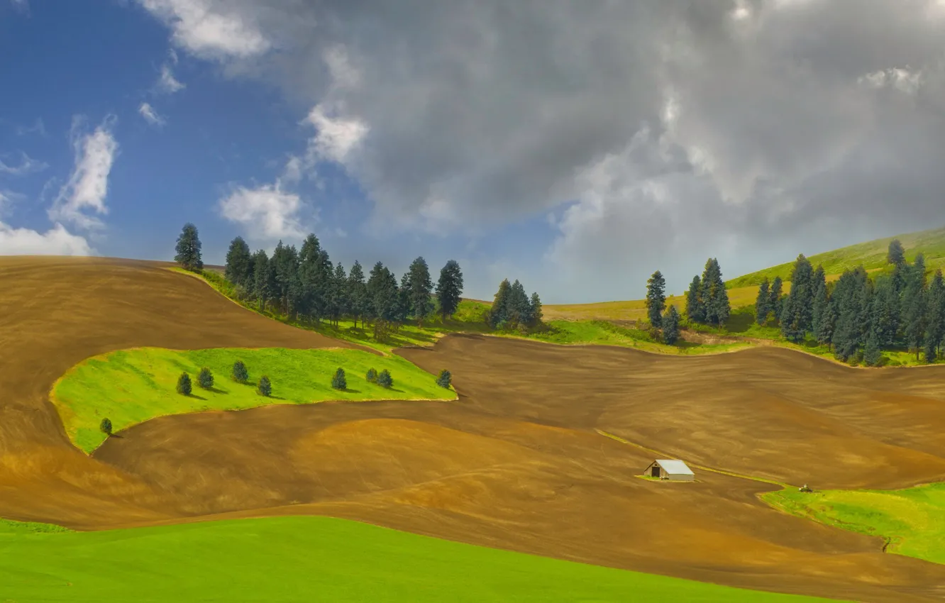 Photo wallpaper trees, hills, USA, Idaho