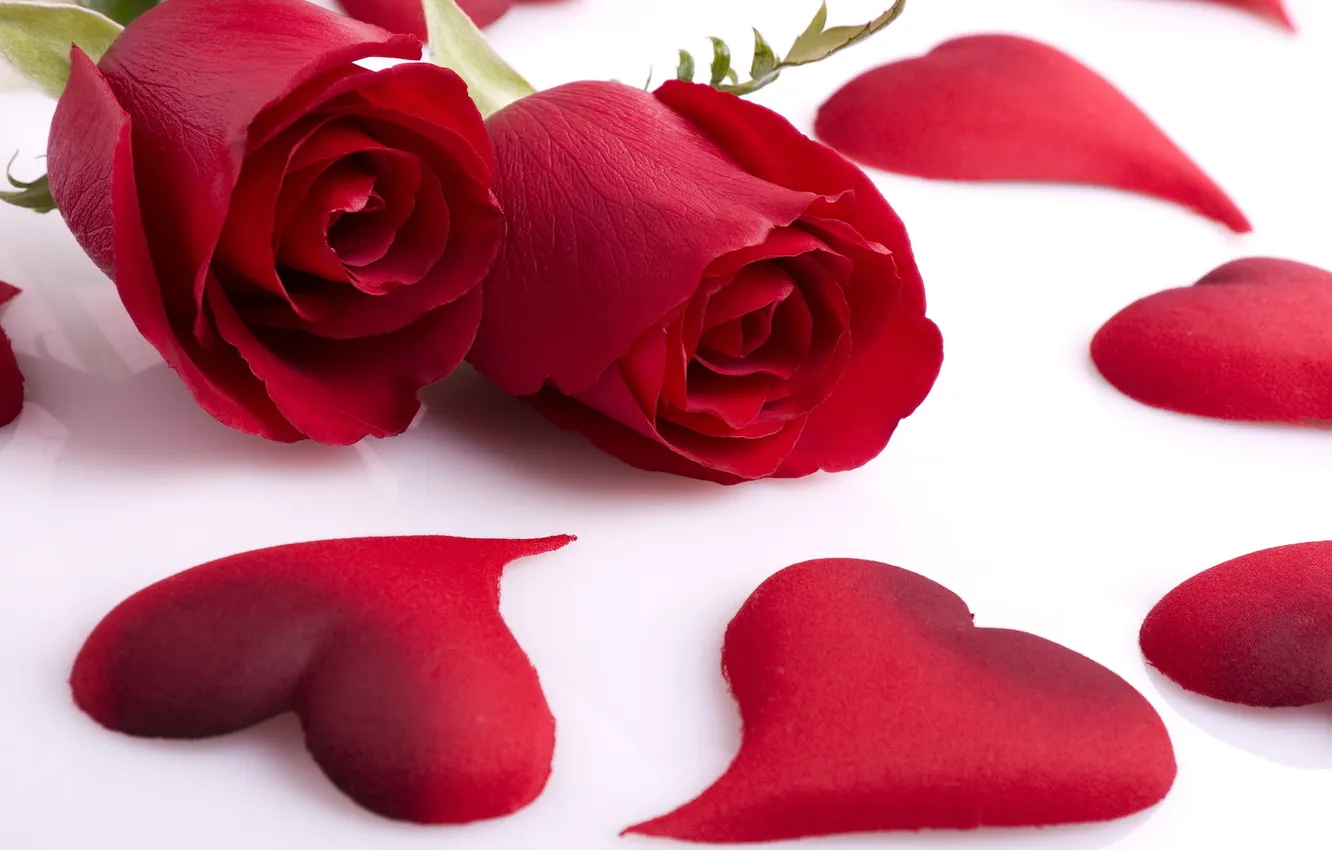 Photo wallpaper red, roses, hearts
