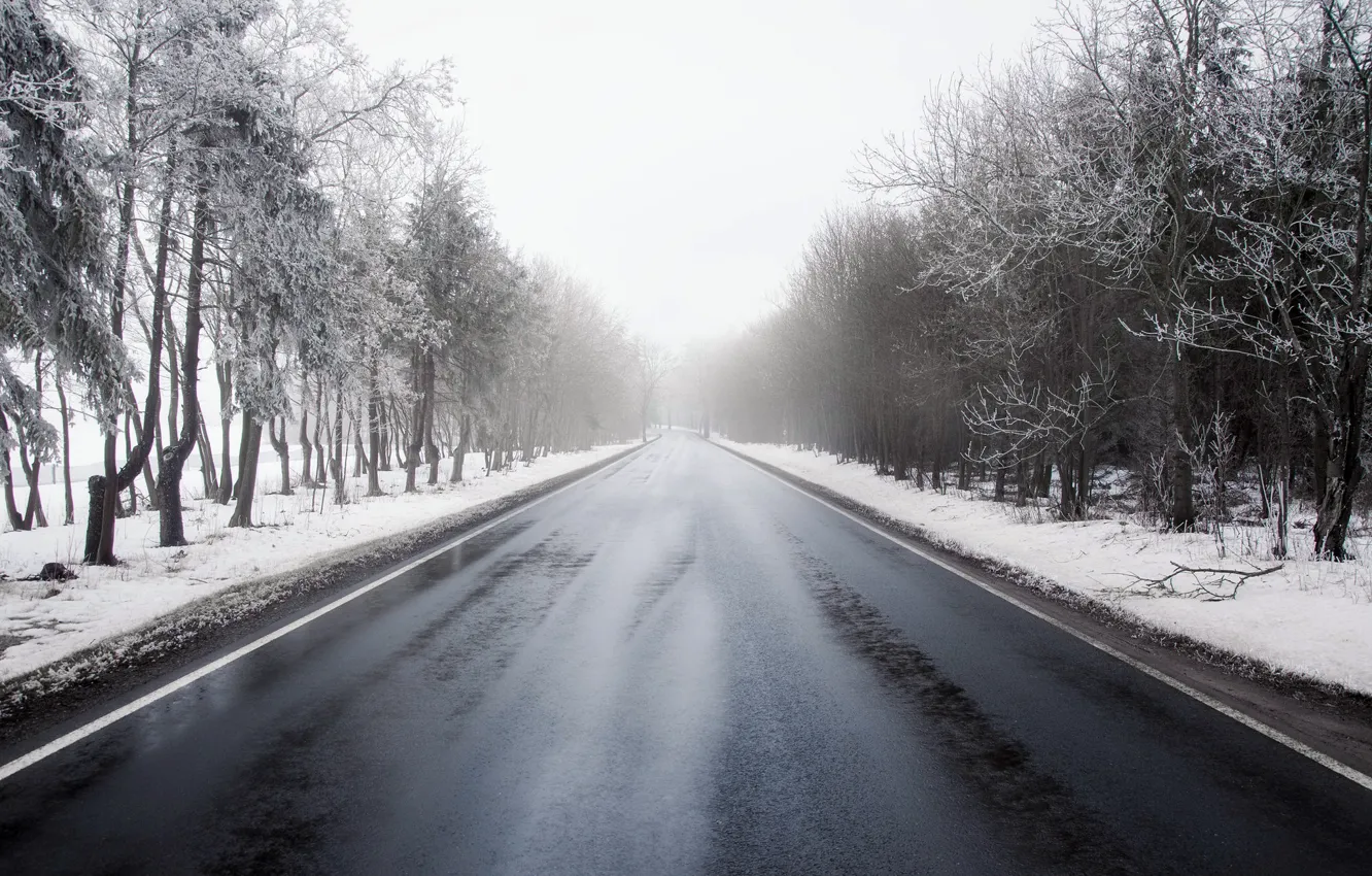 Photo wallpaper winter, road, fog
