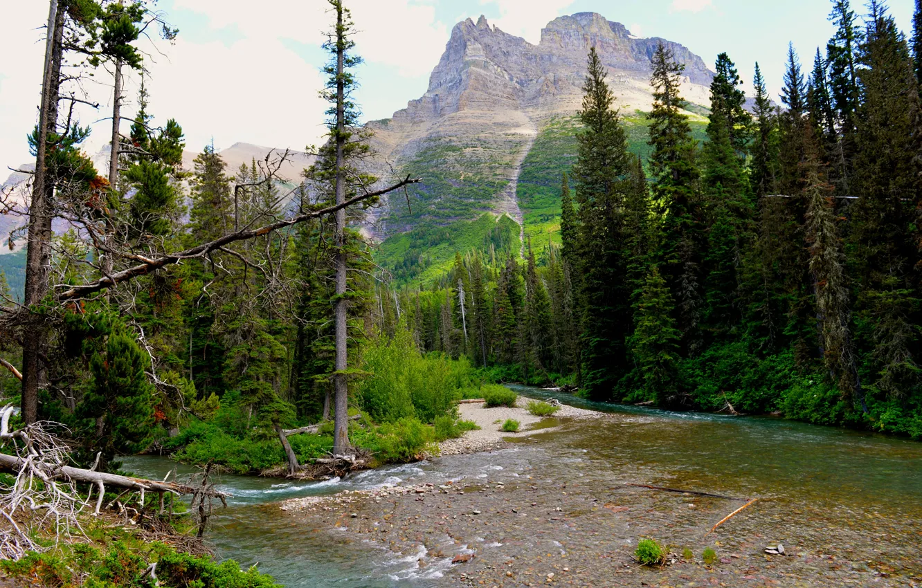 Photo wallpaper the sky, trees, river, mountain, USA, glacier national park, montana