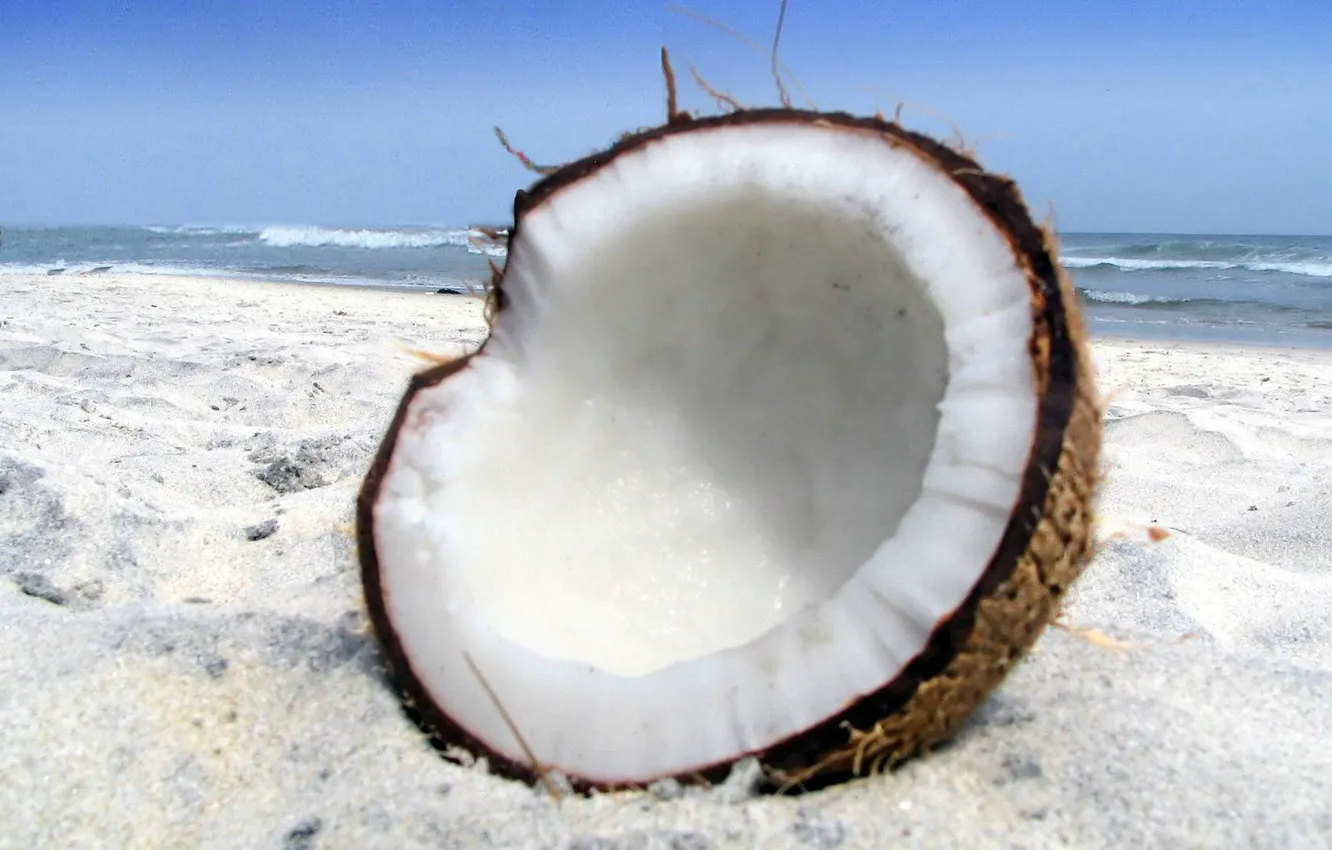 Photo wallpaper sand, beach, nature, coconut