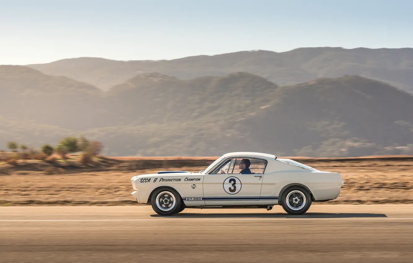 Photo wallpaper Mustang, Ford, Shelby, 1965, GT350, Shelby GT350